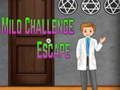 Игра Избягване на Лекото Предизвикателство Amgel онлайн