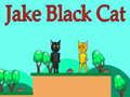 Игра ДжAKE Черен Котарак онлайн