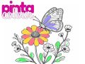 Игра Пинта Цвят онлайн