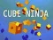 Игра Куб Нинджа онлайн