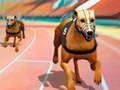 Игра Кучета3D Състезания онлайн