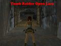 Игра Tomb Raider: Отворена Лара онлайн