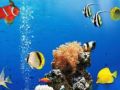 Игра Морски подводни разлики онлайн