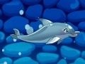 Игра Моето шоу с делфини 5 онлайн Игра Моето шоу с делфини 5 онлайн