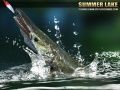 Игра Летно Езеро 1.5 онлайн