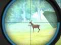 Игра Обучение на Ловец онлайн