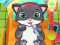 Игра Котешки Лекар онлайн