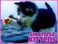 Игра Шест малки котенца онлайн