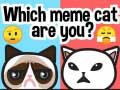 Игра Кой мем кот е ты? онлайн