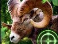 Игра Луд ловец на кози 2020 онлайн