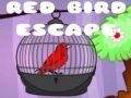 Игра Избягване на Червената Птица онлайн