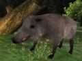 Игра Лов на дики прасета онлайн