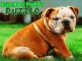 Игра Пъзел с булдожко кученце онлайн