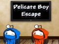 Игра Избягване на деликатното момче онлайн