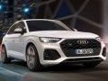 Игра Ауди SQ5 TDI Плъзгане онлайн