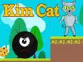 Игра Ким Котка онлайн