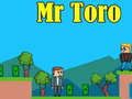 Игра Господин Торо онлайн