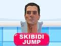 Игра Скибиди Скок онлайн