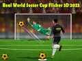 Игра Истинска Световна Купа по Футбол Flicker 3D 2023 онлайн Игра Истинска Световна Купа по Футбол Flicker 3D 2023 онлайн