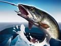 Игра Ледена риболов 3D онлайн Игра Ледена риболов 3D онлайн