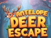 Игра Бягство на антилопа онлайн