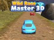 Игра Див състезателен майстор 3D онлайн