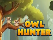 Игра Ловец на сови онлайн