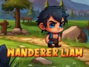 Игра Скитник Лиам онлайн