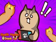 Игра Master Master: Тайна котка онлайн