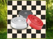 Игра Класически шашки: гора онлайн