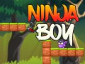 Игра Нинджа Момче онлайн