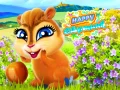 Игра Щастливо сурикатче онлайн Игра Щастливо сурикатче онлайн