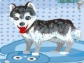 Игра Моето сладко куче в банята онлайн Игра Моето сладко куче в банята онлайн
