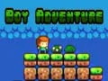Игра Приключение на момчето онлайн