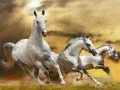 Игра Слайд на Бягащия Кон онлайн