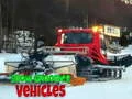 Игра Снегоходни превозни средства онлайн