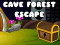 Игра Избягване от Пещерната гора онлайн