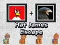Игра Избягване на Джеймс с Шапка онлайн