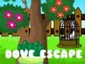 Игра Избягване на гълъб онлайн