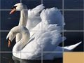 Игра Пъзел с Животни онлайн Игра Пъзел с Животни онлайн