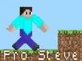 Игра Про Стив онлайн Игра Про Стив онлайн