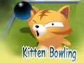 Игра Боулинг с котенца онлайн Игра Боулинг с котенца онлайн