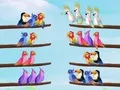 Игра Пъзел за сортиране на птици онлайн Игра Пъзел за сортиране на птици онлайн