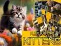 Игра Пъзел Плъзгащи Котенца онлайн