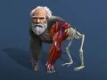 Игра Неактивна Еволюция: От Клетка до Човек онлайн Игра Неактивна Еволюция: От Клетка до Човек онлайн
