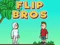 Игра Флип Братя онлайн Игра Флип Братя онлайн