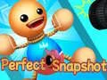 Игра Перфектен Снимка онлайн Игра Перфектен Снимка онлайн