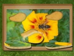 Игра Намерете и възстановете онлайн