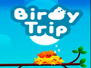 Игра Пътешествие на птиците онлайн