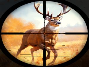 Игра Лов на диви животни онлайн